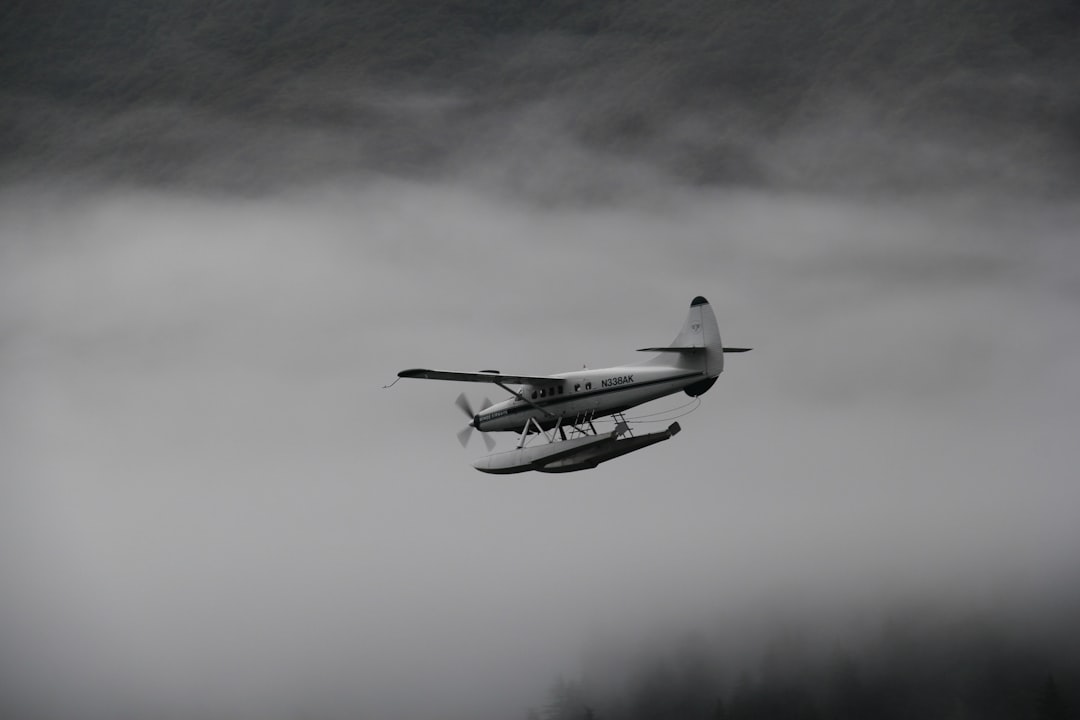 Flyway Community Edition History Guide for Users user interface